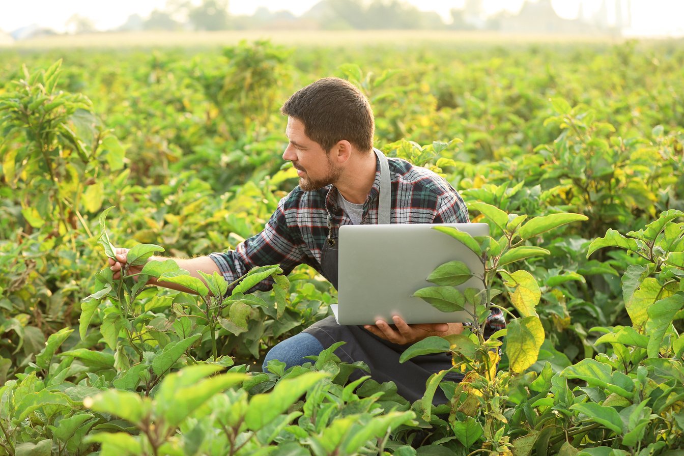 Male Agricultural Engineer Working in Field